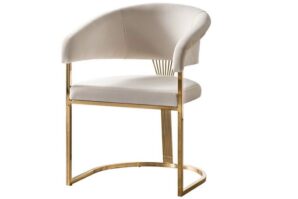 IMG_1820 Vincent Plus Chair