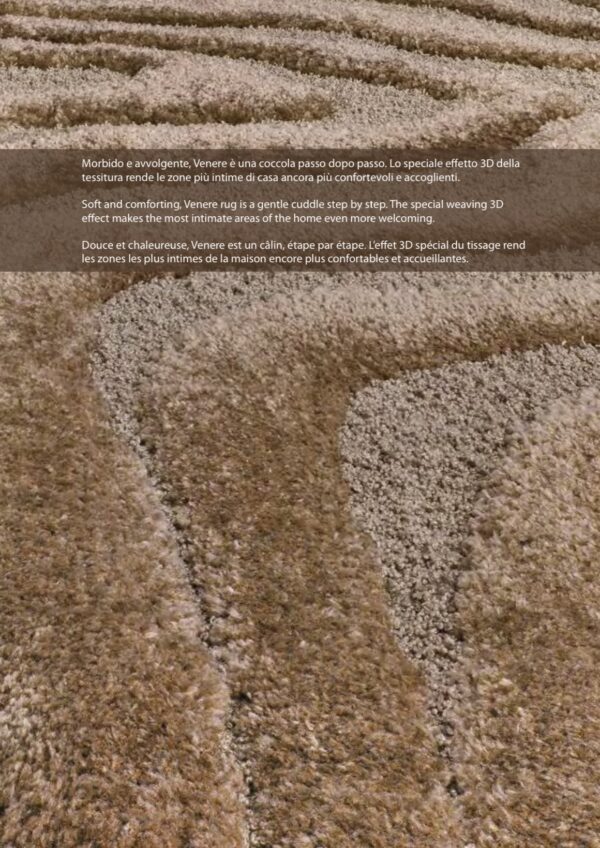 Venere Rug - Image 2