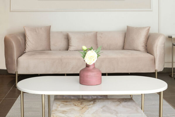 Blush Sofa Set (2025)