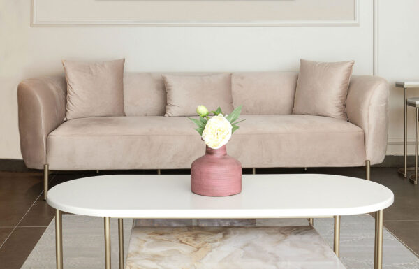 Blush Sofa Set (2025)